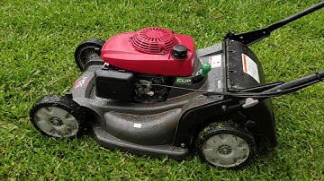 Xe Cắt Cỏ Lá Gừng 4 Bánh Đẩy Tay Chạy Xăng