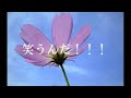 笑うんだ！！！（極楽桜ヒロクン　ギター1本弾き語り）