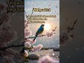 Janji Tuhan: Tiada Lagi Air Mata 🕊️ | Wahyu 21:4 #kristen #yesus #supernatural