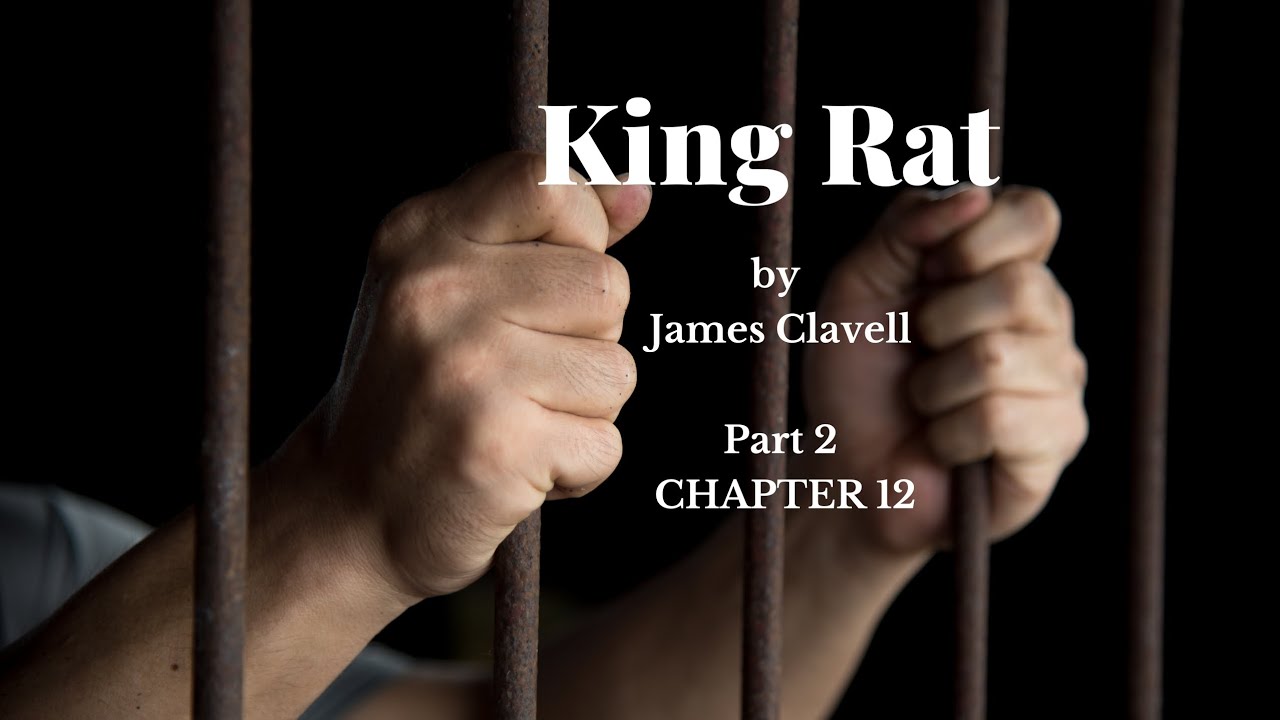 King Rat by James Clavell - Audiobook Part 2 - Chapter 12