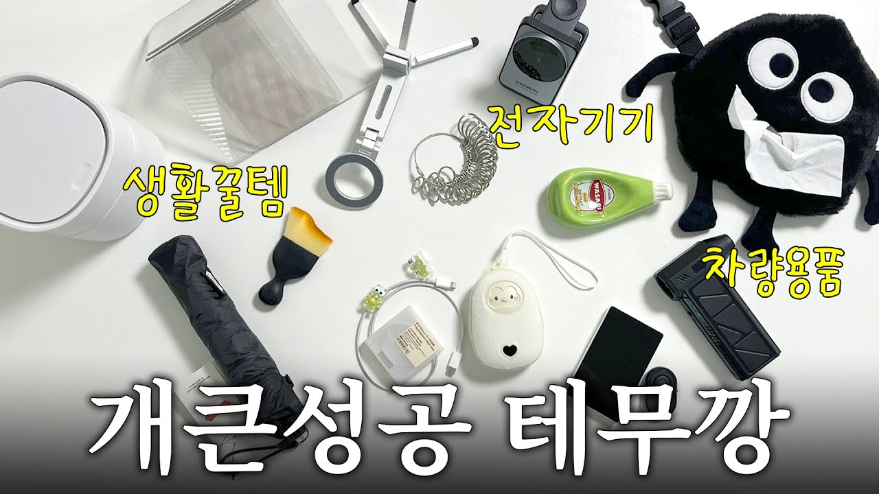 옷은 안 샀습니다… 패션유튜버가 고른 테무 가성비템