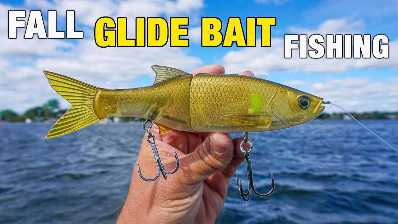 How to Fish a Glide bait for Bass (Fall Glide Bait Fishing) 