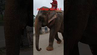 Goldmine #ganesh #gold #old #60years #extreme #power #minecraft #shorts #sanatandharma #ganeshji