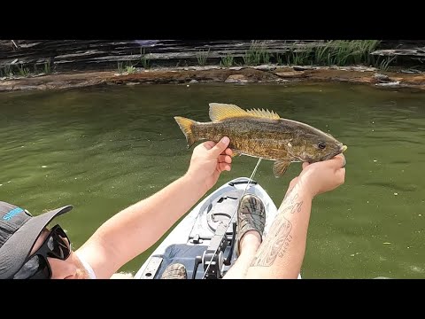 Lake Cumberland Spawn/Post-Spawn Bass FIshing! #fishing #bassfishing #outdoors #lakecumberland