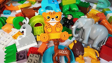 Satisfying Building Blocks ASMR Marble Run Block Coaster and Wild Animals Course