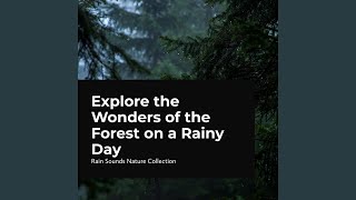 Rhythmic Nature Rainfall