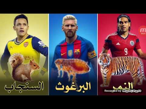 لاعبين يلقبو بالسماء الحيوانات من بينهم ميسي