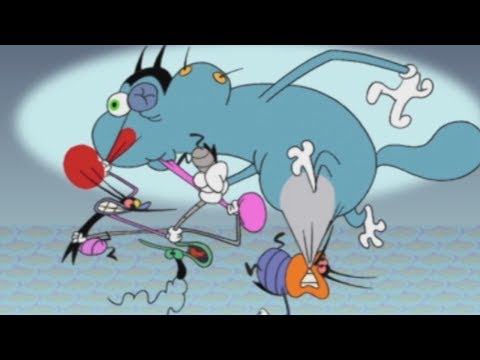 Oggy and the Cockroaches ???? HONEYMOON ???? (S01E73) Full Episode