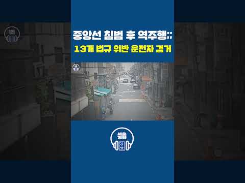 😱 중앙선 침범 후 역주행?! 13개 법규 위반 난폭운전자 검거