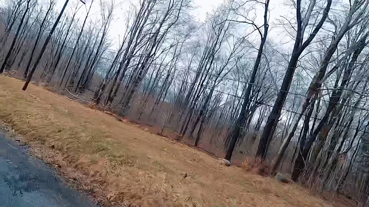 Quarantine Jeep Ride 2020