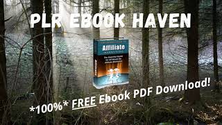 Information FREE PLR Ebook PDF - The Expert Guide to Affiliate Marketing News