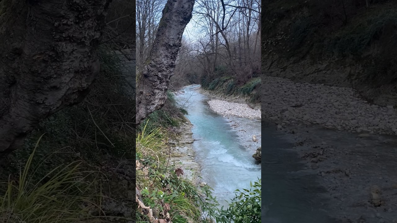 Camping by this beautiful river is really enjoyable 