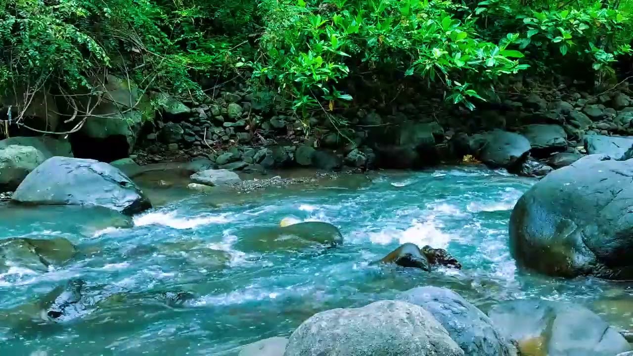 Magical Forest Atmosphere, Flowing Water, Forest Sounds, Soothing ASMR