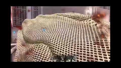 Call of Duty Funny Grenade Fails