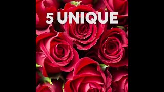 5 unique Valentine’s Day date ideas in the OKC metro Net Worth
