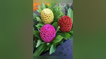 سورة (الفرقان) بصوت الشيخ صلاح بو خاطر