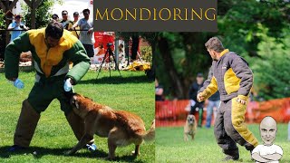 Mondioring μιλάμε με τον Εκπαιδευτή Σκύλων Δημήτρη Κορολή. Παγκόσμιο Πρωτάθλημα Βέλγικων Ποιμενικών!