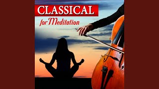 Download Lagu The Four Seasons - Spring: Allegro