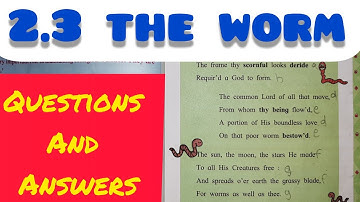 2.3 THE WORM WARMING UP AND ENGLISH WORKSHOP/ANSWERS - CLASS 8 ENGLISH CHAPTER 2.3-MAHARASHTRA BOARD