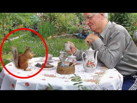 When Animal Distribution System Chooses You🤪 Funny Animals Videos 2025