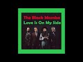 2021 The Black Mamba - Love Is On My Side