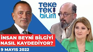 İnsan beyni bilgiyi nasıl kaydediyor? - Teke Tek Bilim