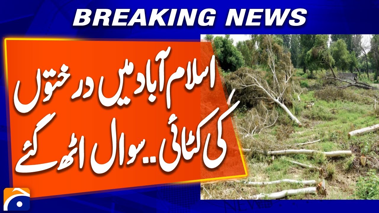 Climate Change Committee Flags Environmental Concerns in Capital | Breaking News