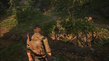 Shadow bug - The Last of Us Part 1 Remake | PS5