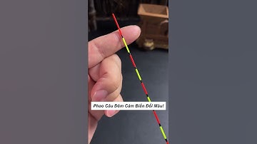 Phao Câu Đêm Cảm Biến Đổi Màu!