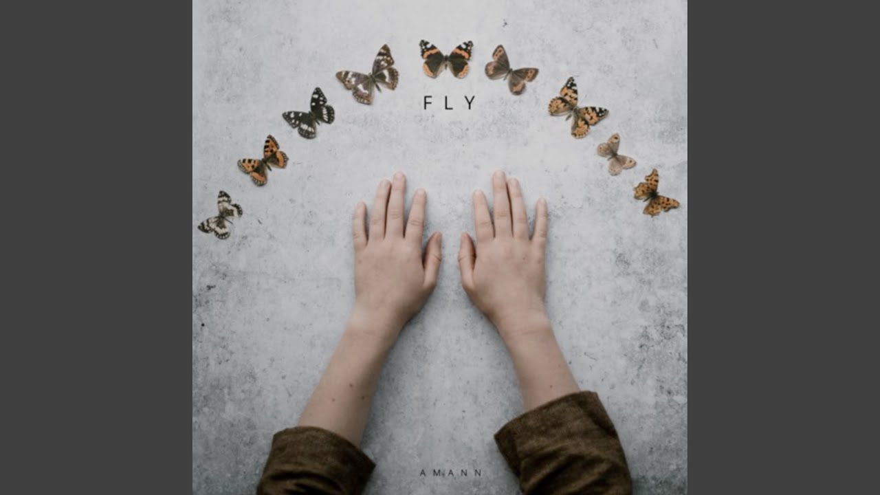 Fly adlı videoyu YouTube'da izle Fly adlı videoyu YouTube'da izle