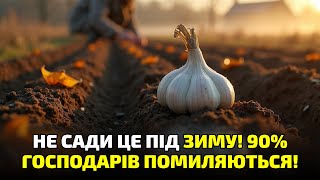 картинка: Не садіть моркву й часник до морозів, поки не дізнаєтесь ЦЕ! Пояснюю просто!