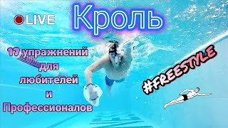 видео: КРОЛЬ, 17 УПРАЖНЕНИЙ ДЛЯ ЛЮБИТЕЛЕЙ И ПРОФЕССИОНАЛОВ #freestyle #swimming #упражнениядляплавания картинка: КРОЛЬ, 17 УПРАЖНЕНИЙ ДЛЯ ЛЮБИТЕЛЕЙ И ПРОФЕССИОНАЛОВ #freestyle #swimming #упражнениядляплавания