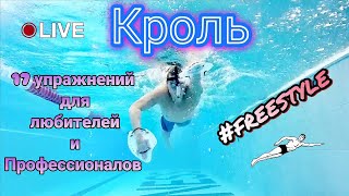 КРОЛЬ, 17 УПРАЖНЕНИЙ ДЛЯ ЛЮБИТЕЛЕЙ И ПРОФЕССИОНАЛОВ #freestyle #swimming #упражнениядляплавания