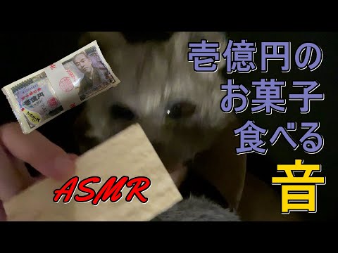 【ASMR】壱億円お菓子咀嚼音