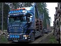 Best Of Timber Trucks