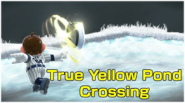 True Yellow Pond Crossing - 37th High (173)