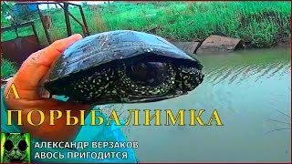 Что ловится на сбросном канале Новочеркасского рыбхоза 15.05.17.