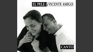 Video thumbnail of "El Pele - Los Amantes (Bulerias)"