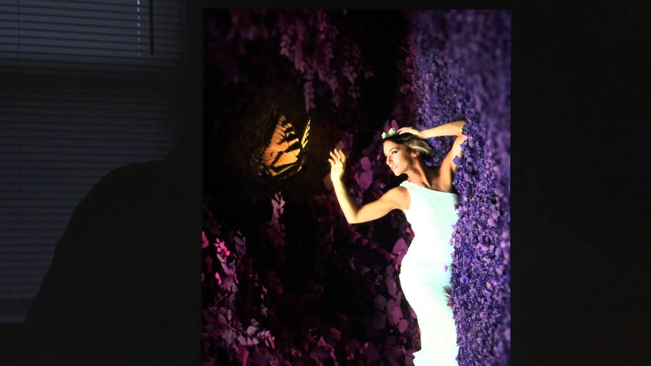 Butterflies are free to fly YouTube