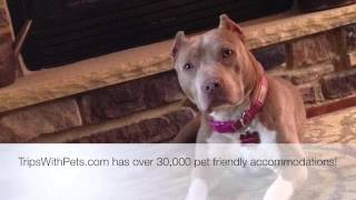 Pet Friendly Hotels Atlanta, Georgia