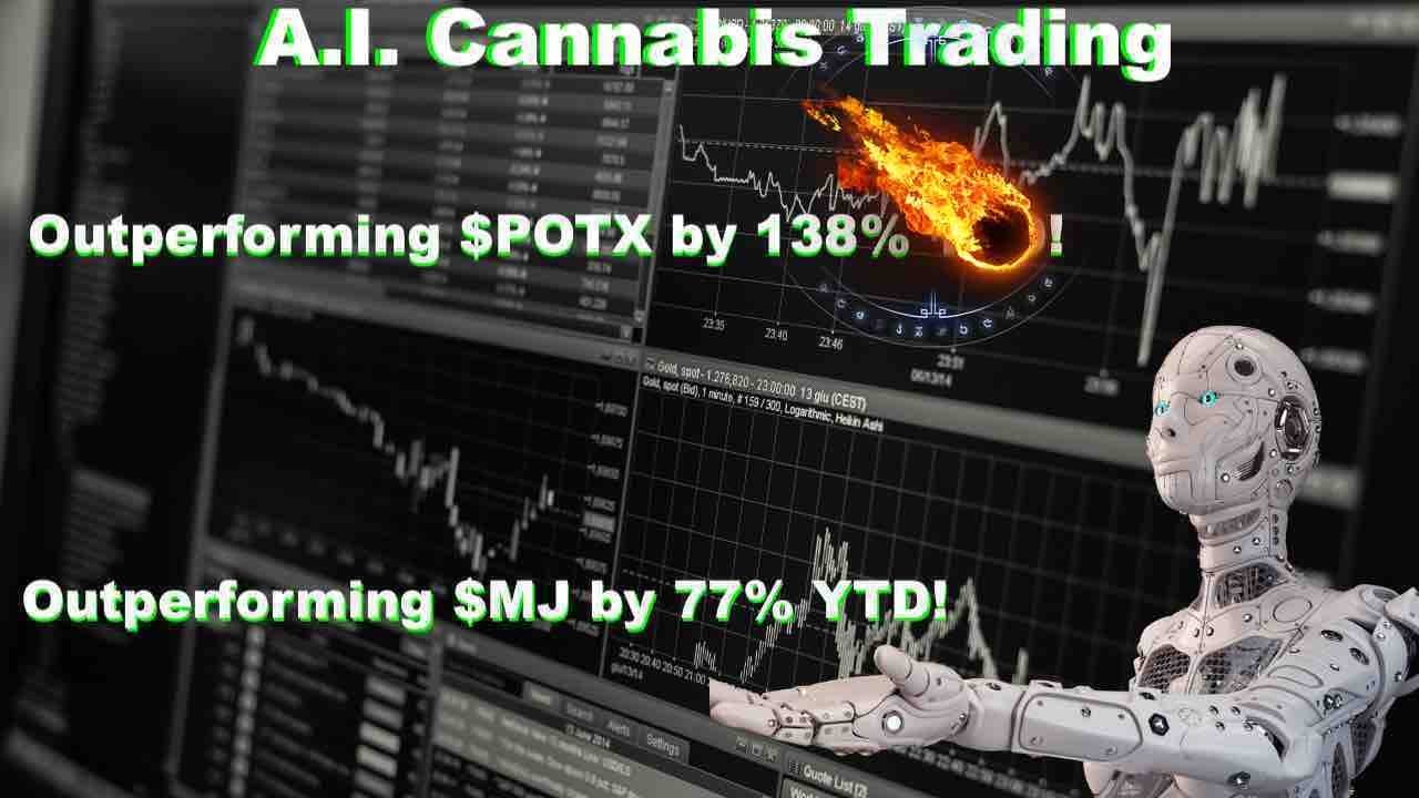 A.I. Cannabis Stock Index Update