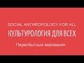 Первобытные верования: Анимизм. Магия. Тотемизм. Фетишизм. Шаманизм. Лекции по культурологии