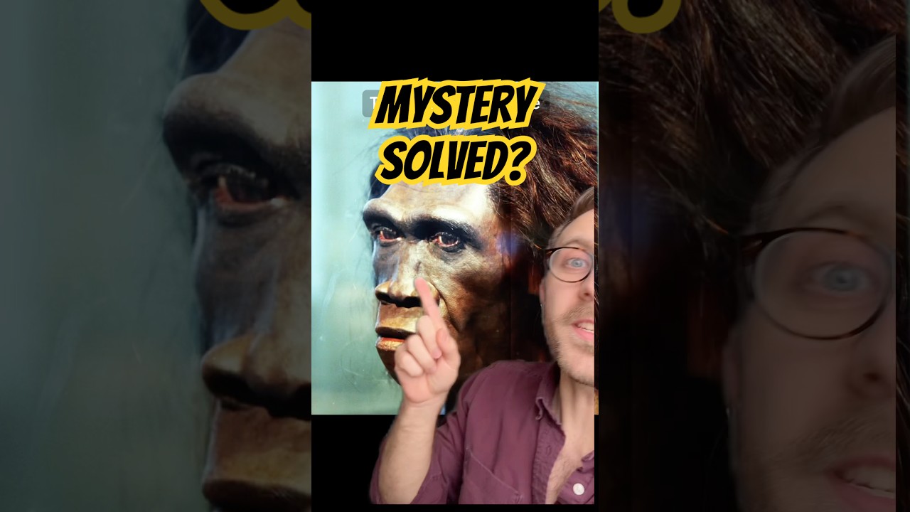 The Year Humans Almost Went Extinct