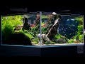 The great wall aquascape by dave chow  4k cinematic  green aqua