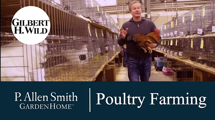 Entdecke die Vielfalt der Hühnerrassen und werde Teil der Ohio National Poultry Show
