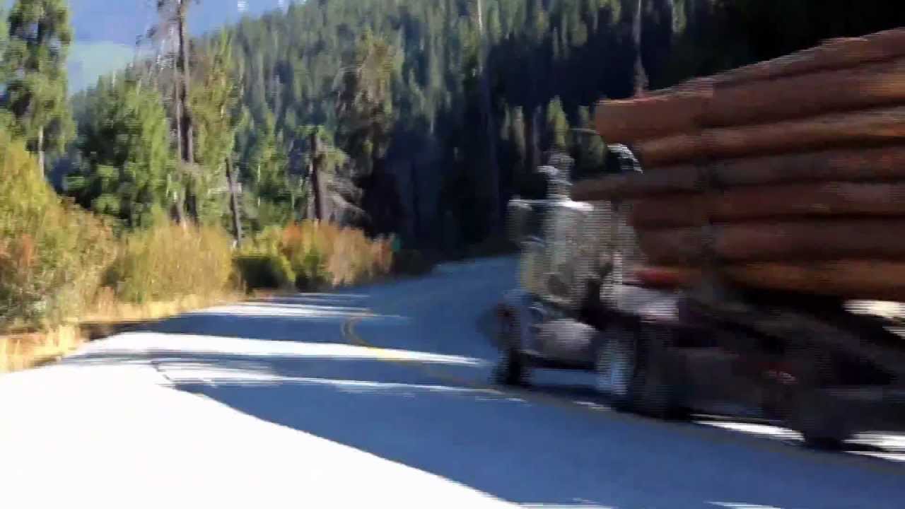 Logging With Dad - Christmas Present 2012 