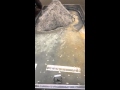 Flood time lapse