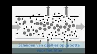 Understanding flow-induced particle migration for improved microfiltration