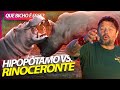 HIPOPÓTAMO VS RINOCERONTE, LUTA DE GIGANTES! | RICHARD RASMUSSEN