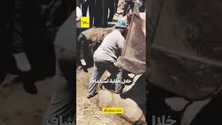 اكتشاف تمثال أثري ضخم بمحض الصدفة في مصر